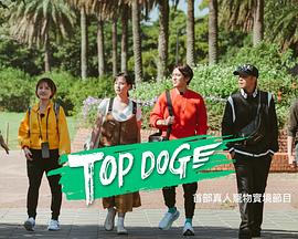YY黄站《TOP DOG》免费在线观看