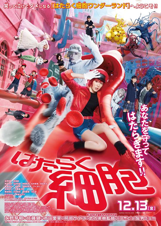 X站福利所《工作细胞 真人版 はたらく細胞》免费在线观看