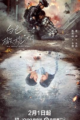 一品探花《白色橄榄树》免费在线观看