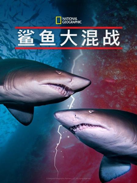 YY黄站《鲨鱼大混战》免费在线观看