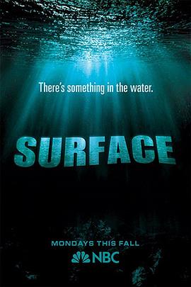 YY黄站《水下之秘 Surface》免费在线观看