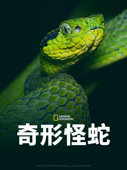 一品探花《奇形怪蛇》免费在线观看