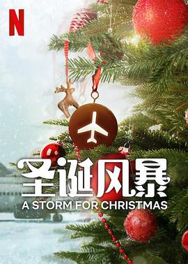 X站福利所《圣诞风暴》免费在线观看
